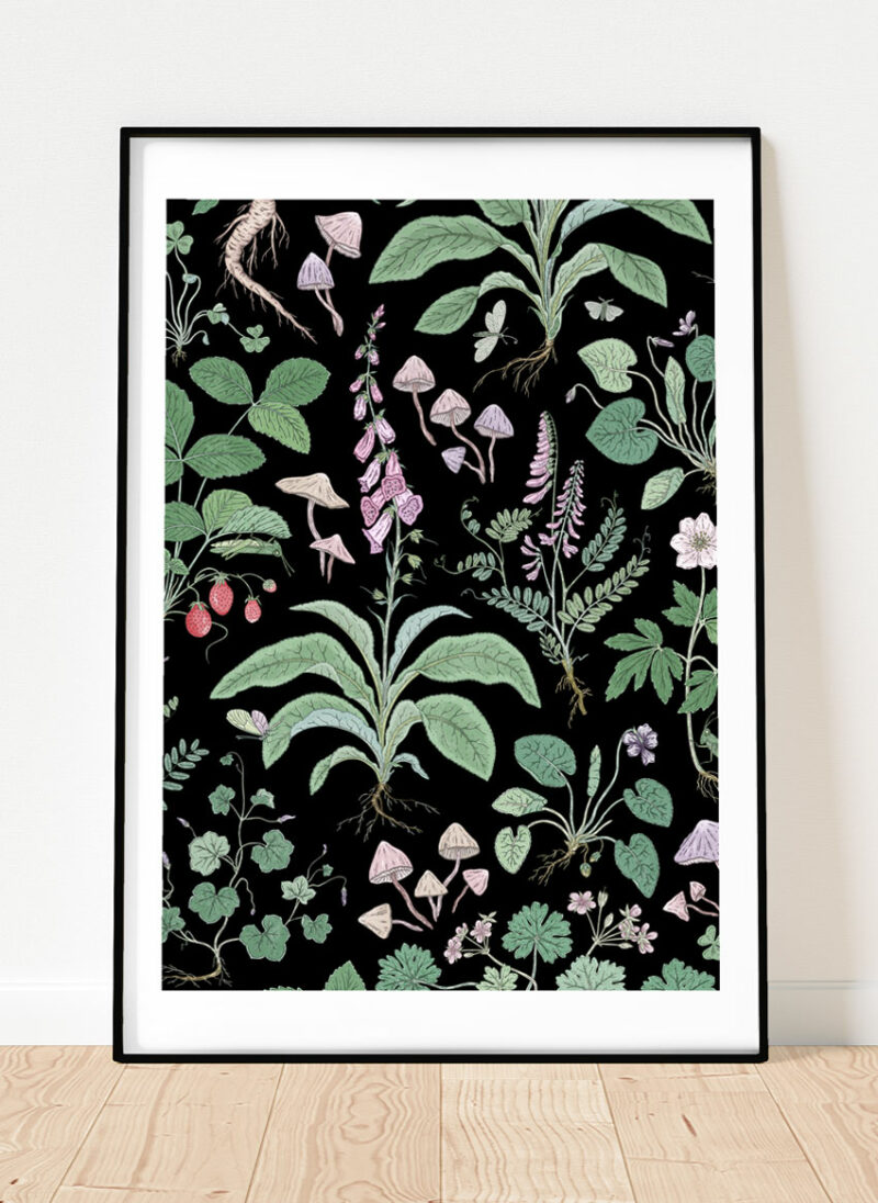 herbarium part two a3 art print