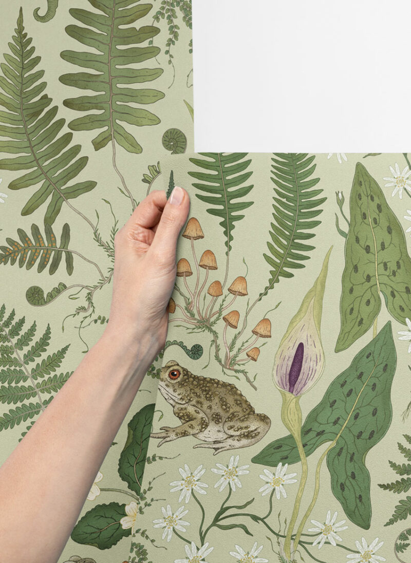 the fernery sage paste the wall wallpaper