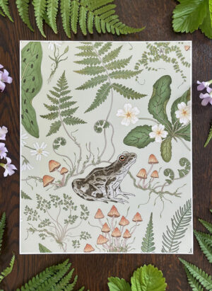 art print: the fernery frog in colour way sage