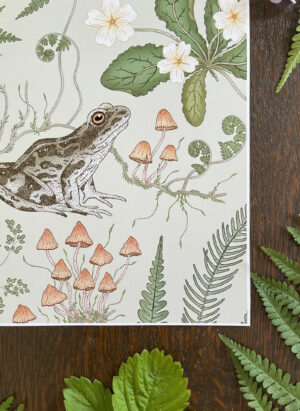 art print: the fernery frog in colour way sage