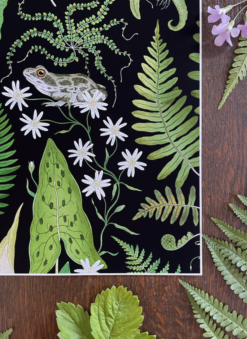 art print: the fernery 'frog' black (copy)