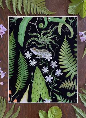 art print: the fernery 'frog' black (copy)