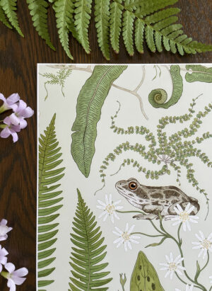 art print: the fernery 'frog' pale sage (copy)