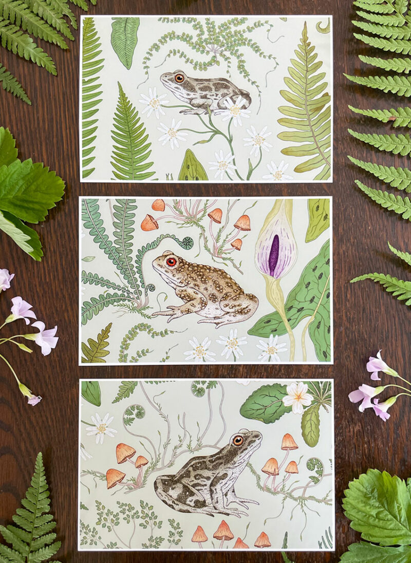 postcard art prints the fernery collection pale sage