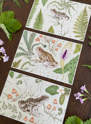 postcard art prints the fernery collection pale sage