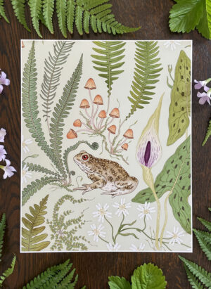 art print: the fernery 'small frog' pale sage (copy)