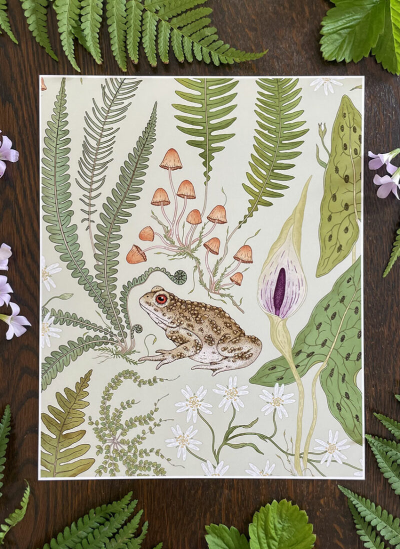 art print: the fernery 'small frog' pale sage (copy)