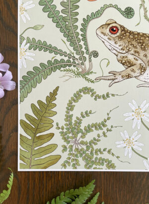 art print: the fernery 'small frog' pale sage (copy)