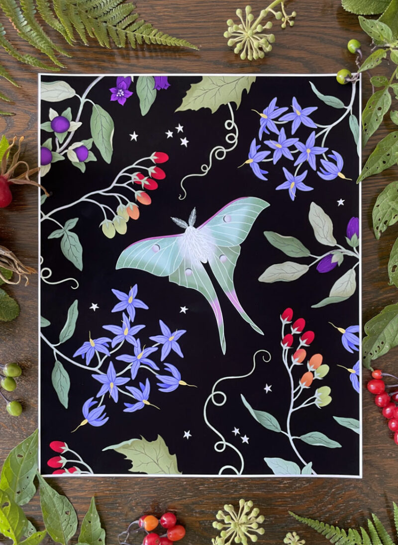art print: luna moth amongst nightshade black