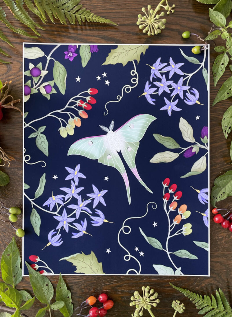 art print: luna moth amongst nightshade black (copy)