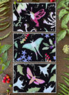 postcard art prints the moth collection black