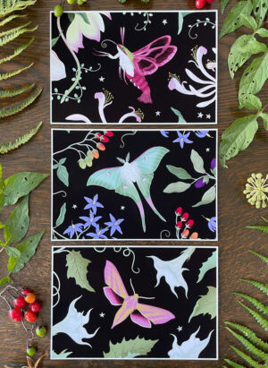 postcard art prints the moth collection black