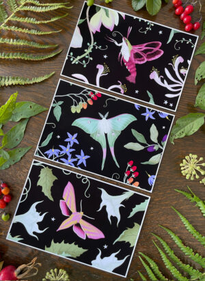 postcard art prints the moth collection black